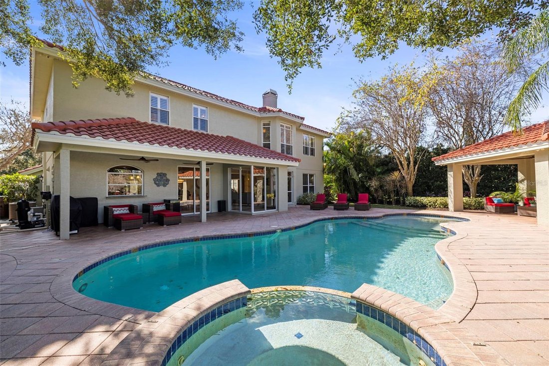 House in Palm Harbor, Florida, United States 2 - 17181108