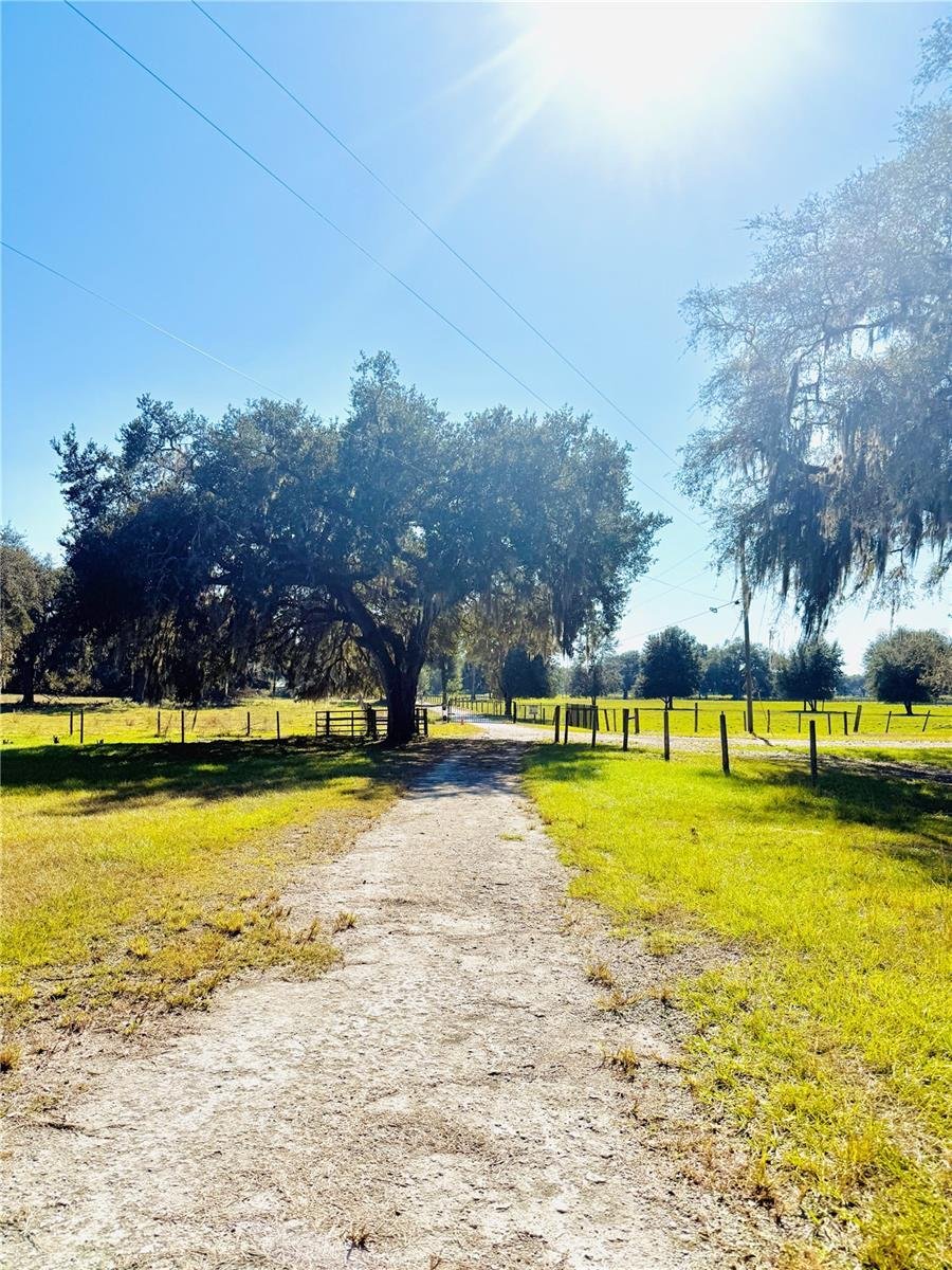 House in Bushnell, Florida, United States 4 - 17179042