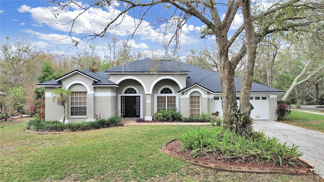 House in Lutz, Florida, United States 4 - 17186912