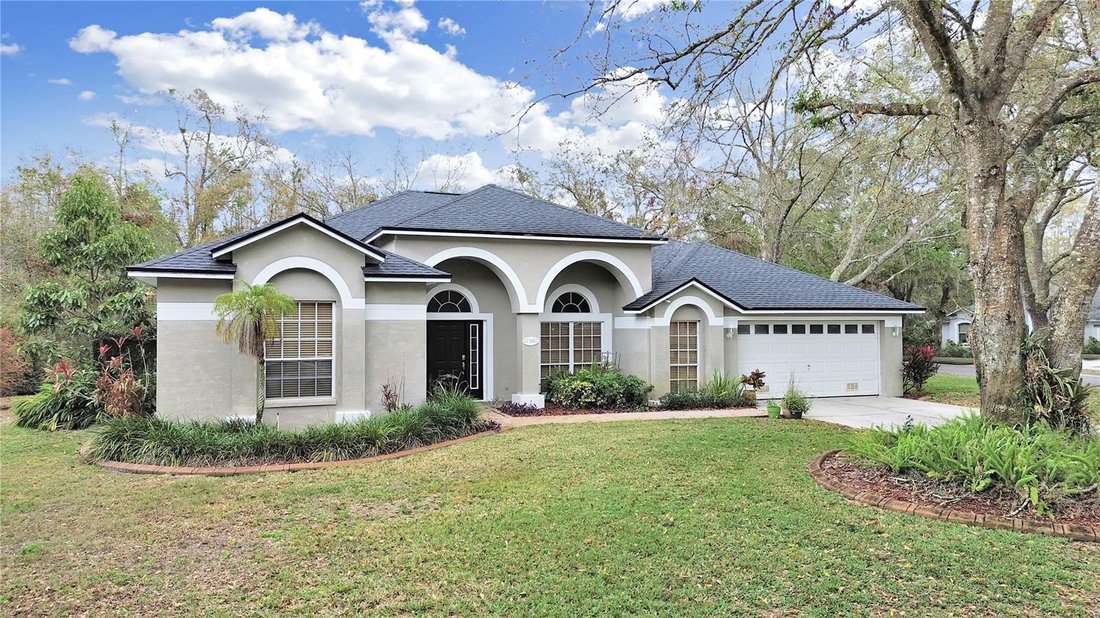 House in Lutz, Florida, United States 2 - 17186912