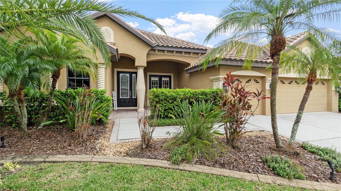 House in Tampa, Florida, United States 4 - 17181408