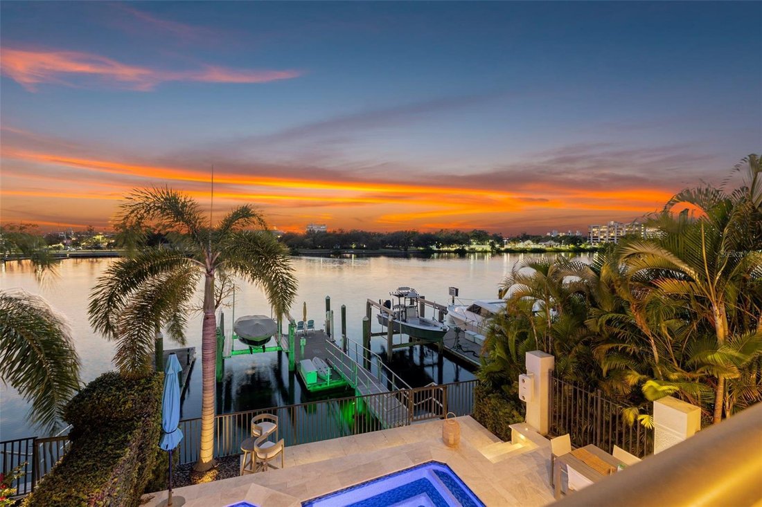 House in Tampa, Florida, United States 5 - 17184719