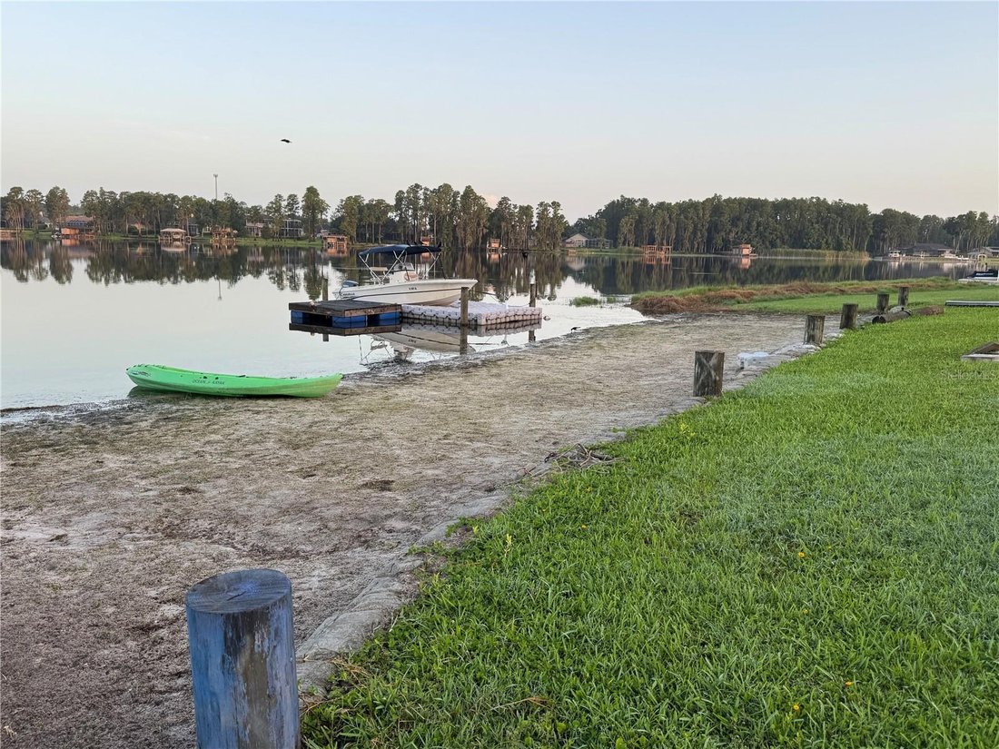 House in Land O' Lakes, Florida, United States 4 - 17185075