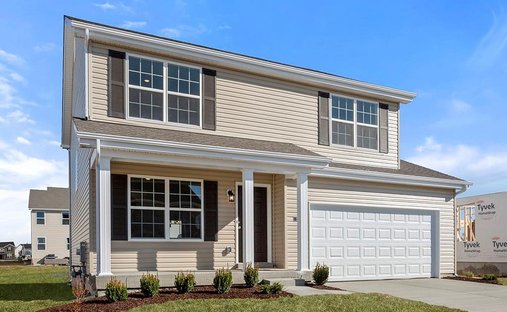 House in St. Louis, Missouri, United States 1