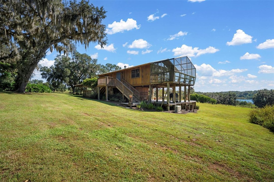 House in Dade City, Florida, United States 3 - 17186701