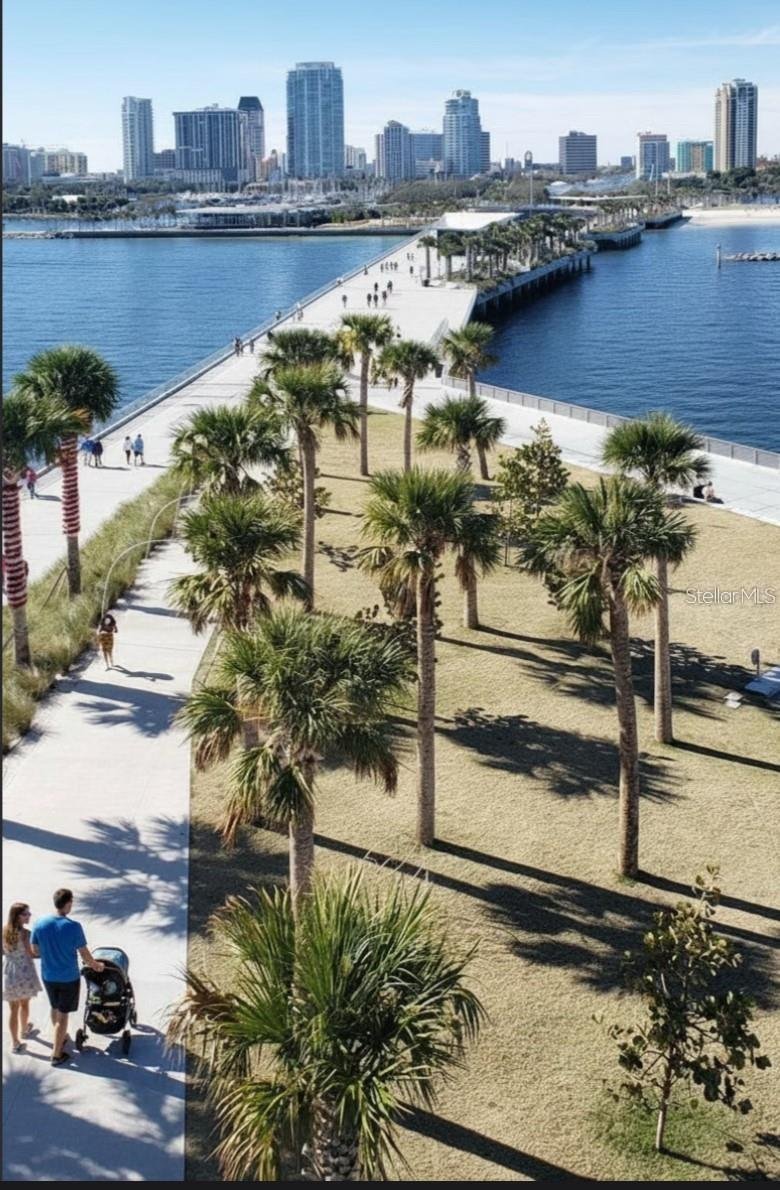 Townhouse in St. Petersburg, Florida, United States 3 - 17179908