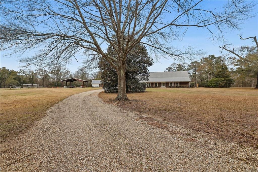 House in Franklinton, Louisiana, United States 5 - 17171634