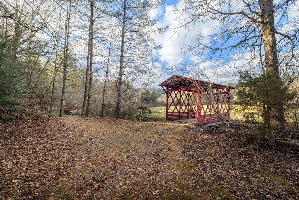 Ellijay, Georgia, United States 1 - 17154034