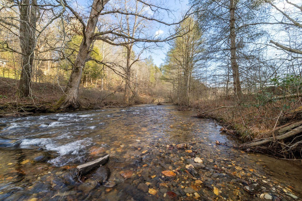 Ellijay, Georgia, United States 2 - 17154034