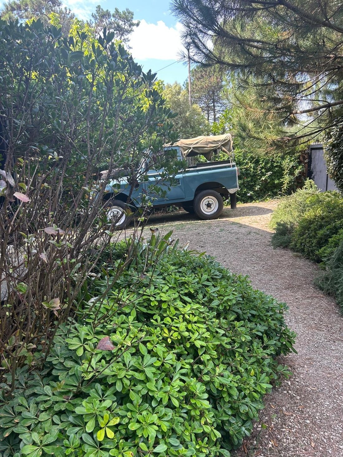 Villa in Centre Cap Ferret, Lège-Cap-Ferret, France 4 - 17155087