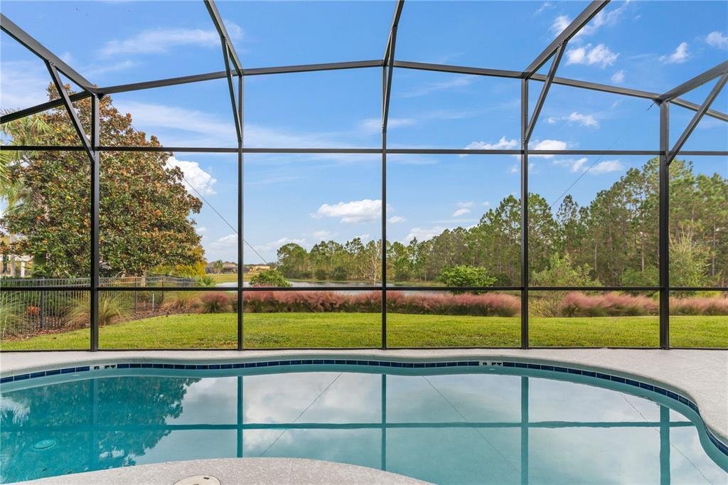 House in Davenport, Florida, United States 3 - 17155893