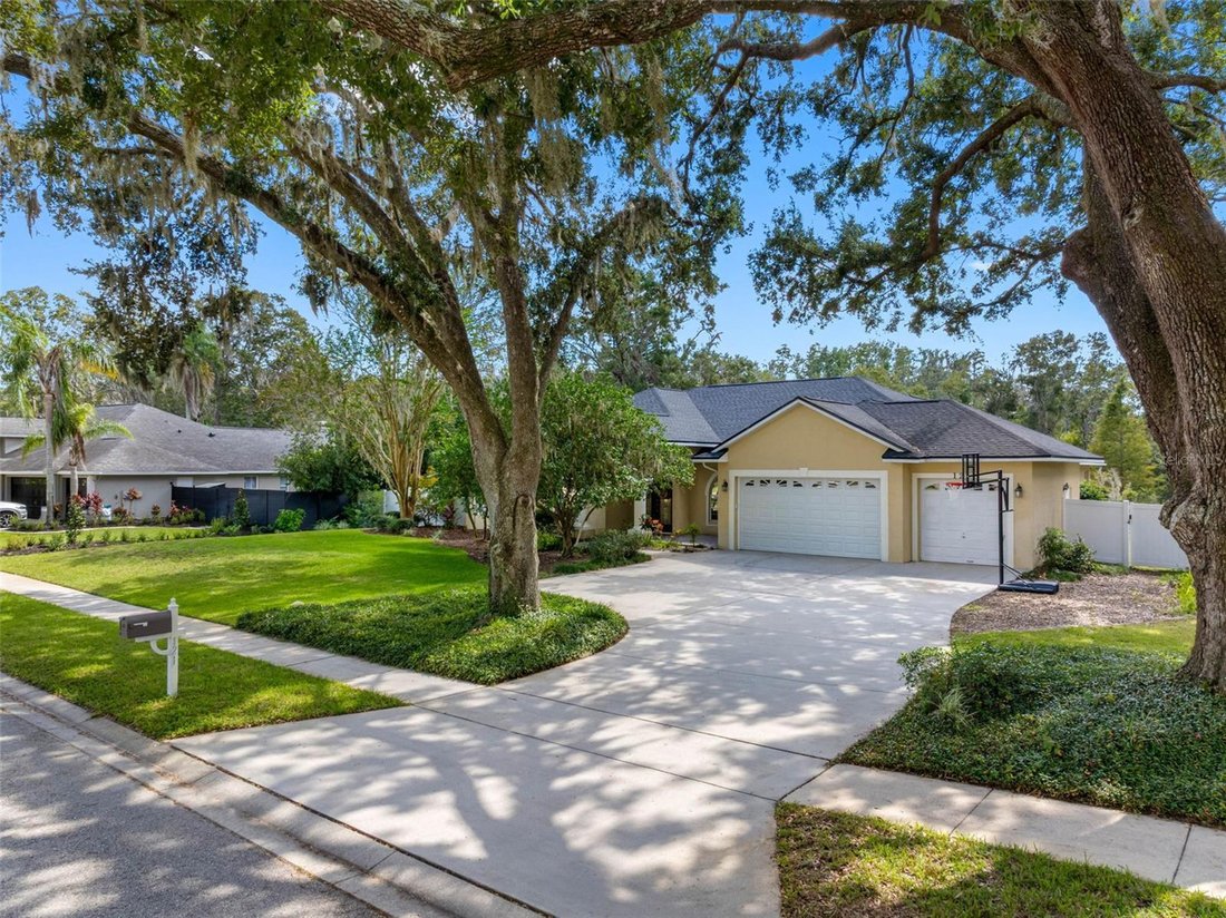 House in Lutz, Florida, United States 3 - 17182046