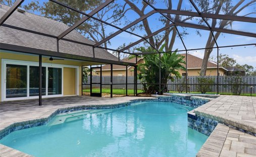 House in Valrico, Florida, United States 1
