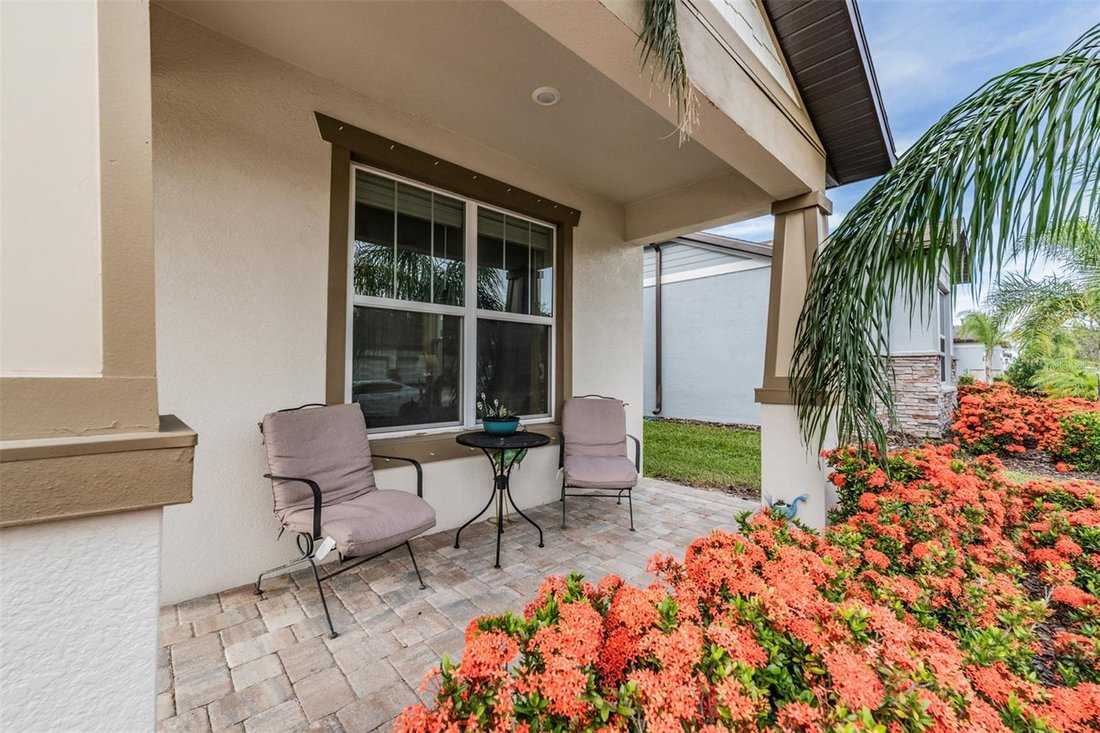House in Valrico, Florida, United States 3 - 17183671