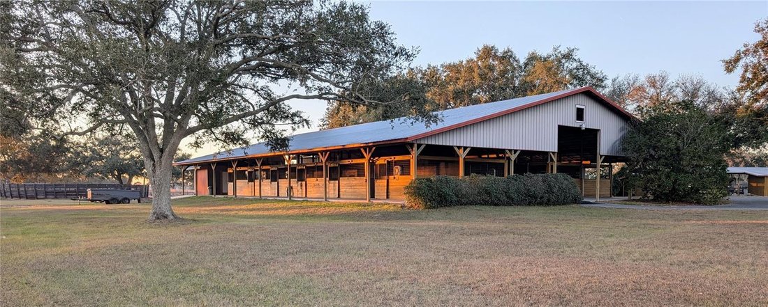 Farm Ranch in Morriston, Florida, United States 4 - 17182846