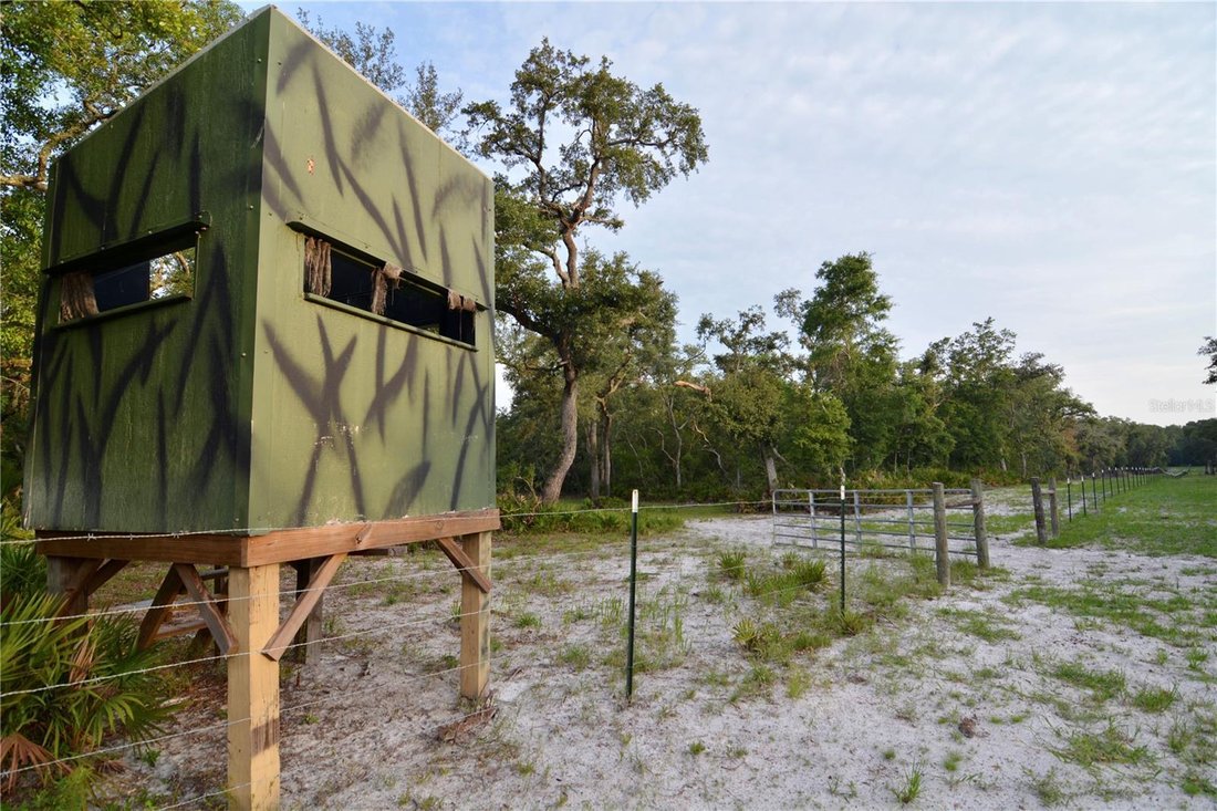 Farm Ranch in Lake City, Florida, United States 4 - 17185040