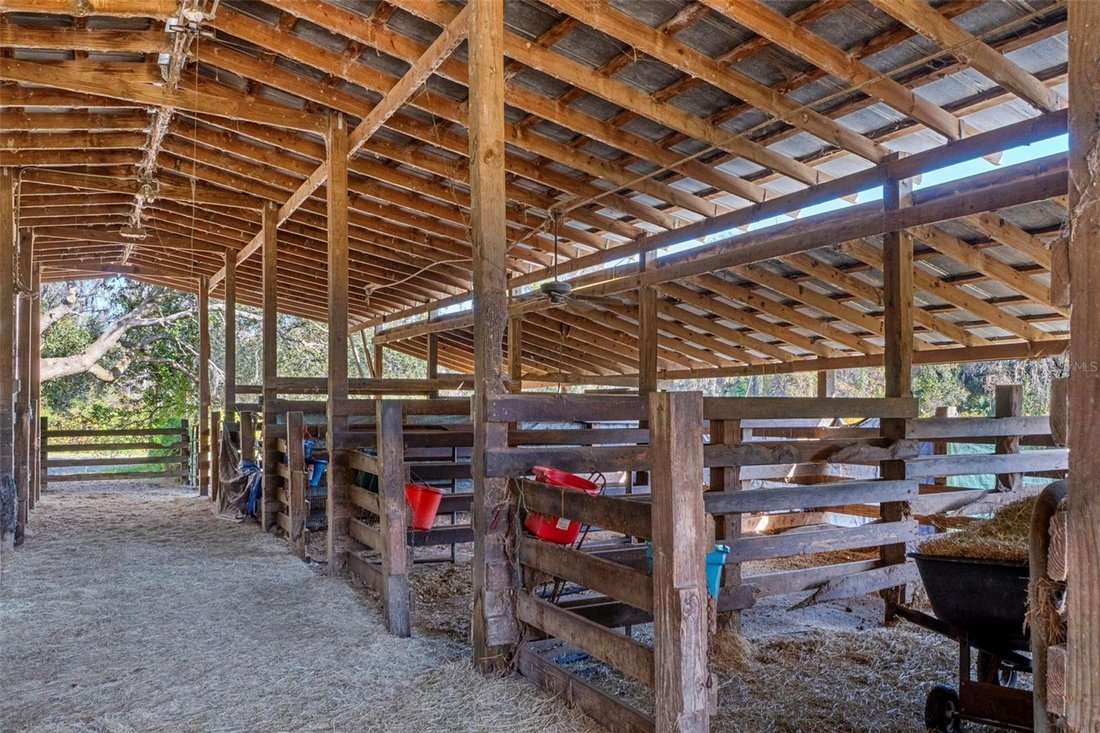 Farm Ranch in Okahumpka, Florida, United States 5 - 17186465