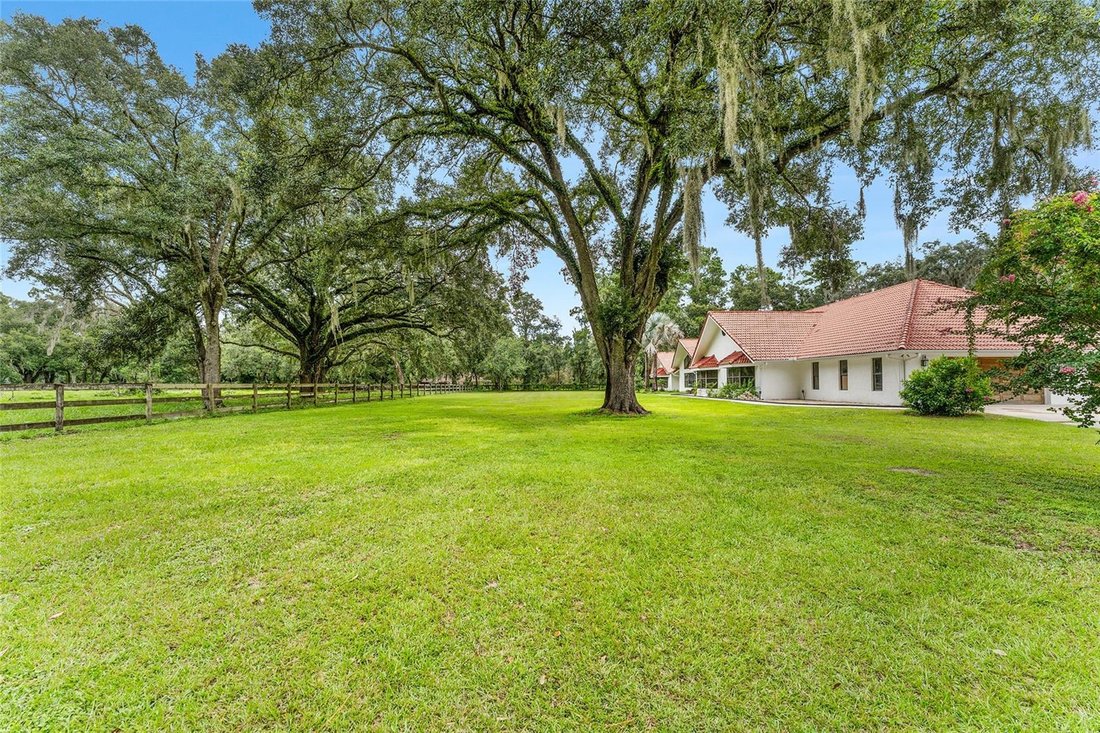 Farm Ranch in Williston, Florida, United States 2 - 17182263