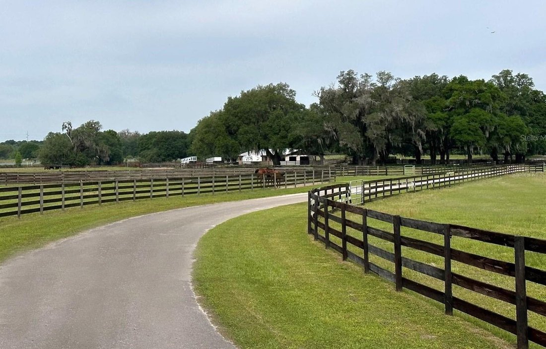 Land in Ocala, Florida, United States 3 - 17182469