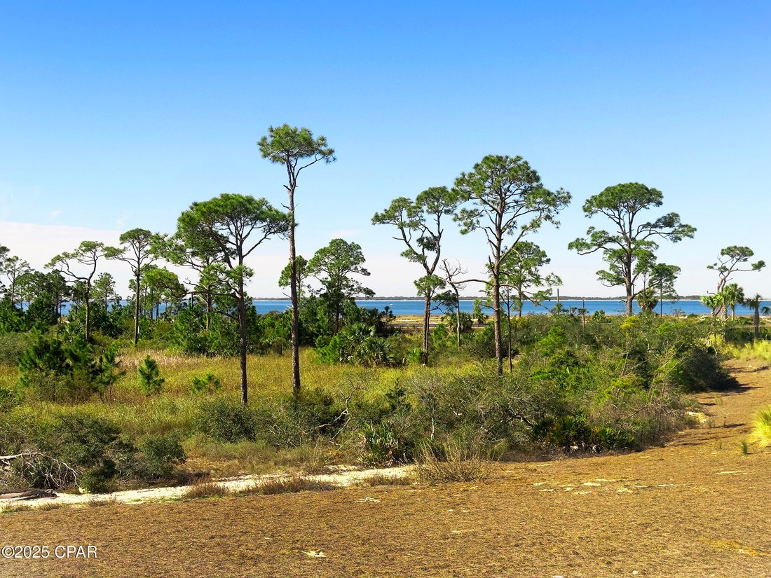 House in Port St. Joe, Florida, United States 3 - 17161198