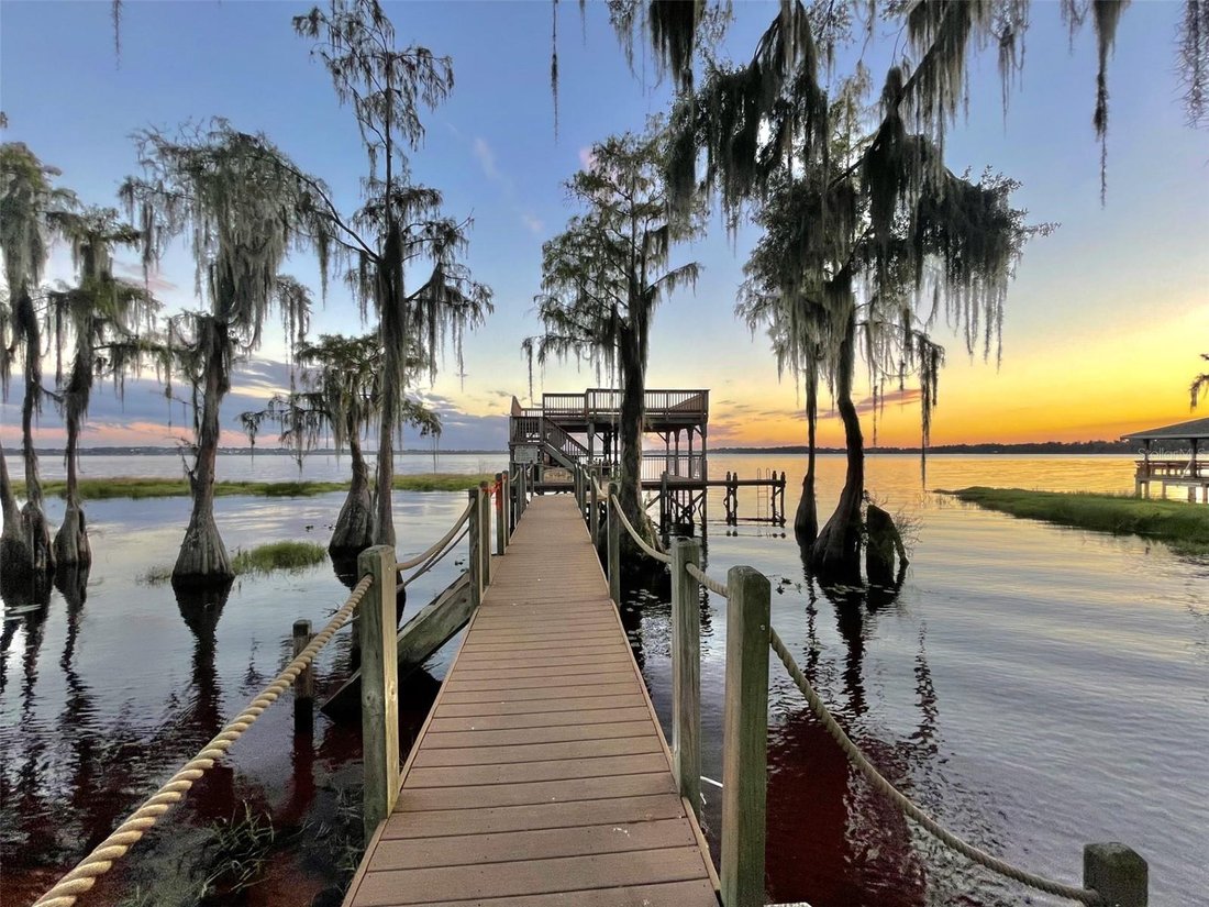 House in Clermont, Florida, United States 1 - 17186650