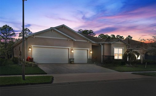 Haus in Sankt Cloud, Florida, Vereinigte Staaten 1