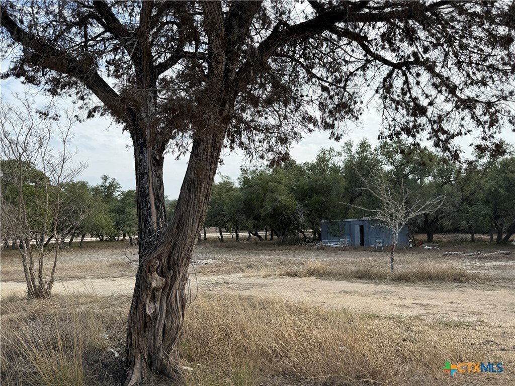 Canyon Lake, Texas, United States 5 - 17170590