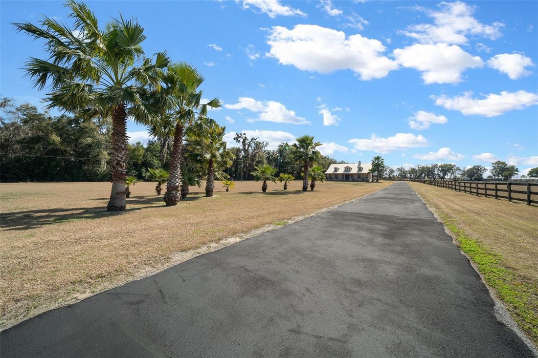 Farm Ranch in Reddick, Florida, United States 5 - 17181723