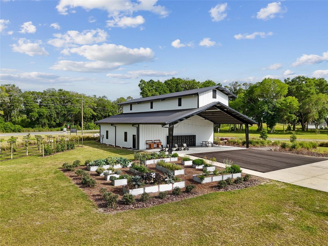 House in Gainesville, Florida, United States 5 - 17185799