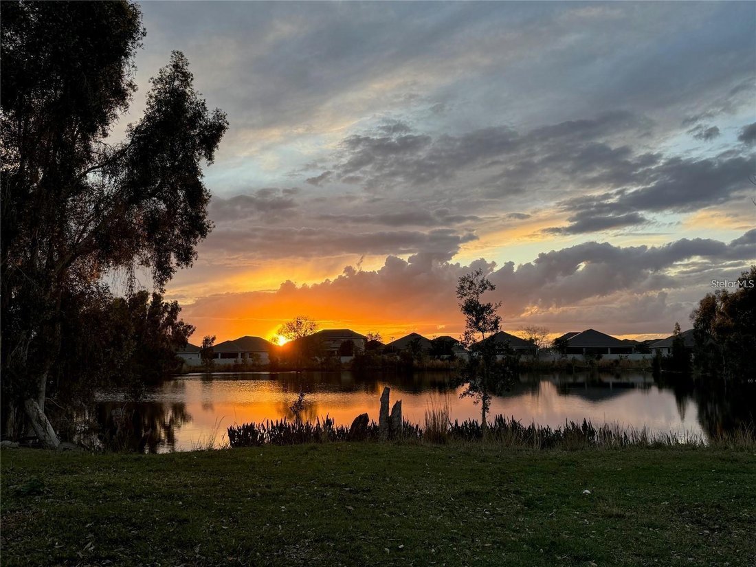 St. Cloud, Florida, United States 5 - 17180157
