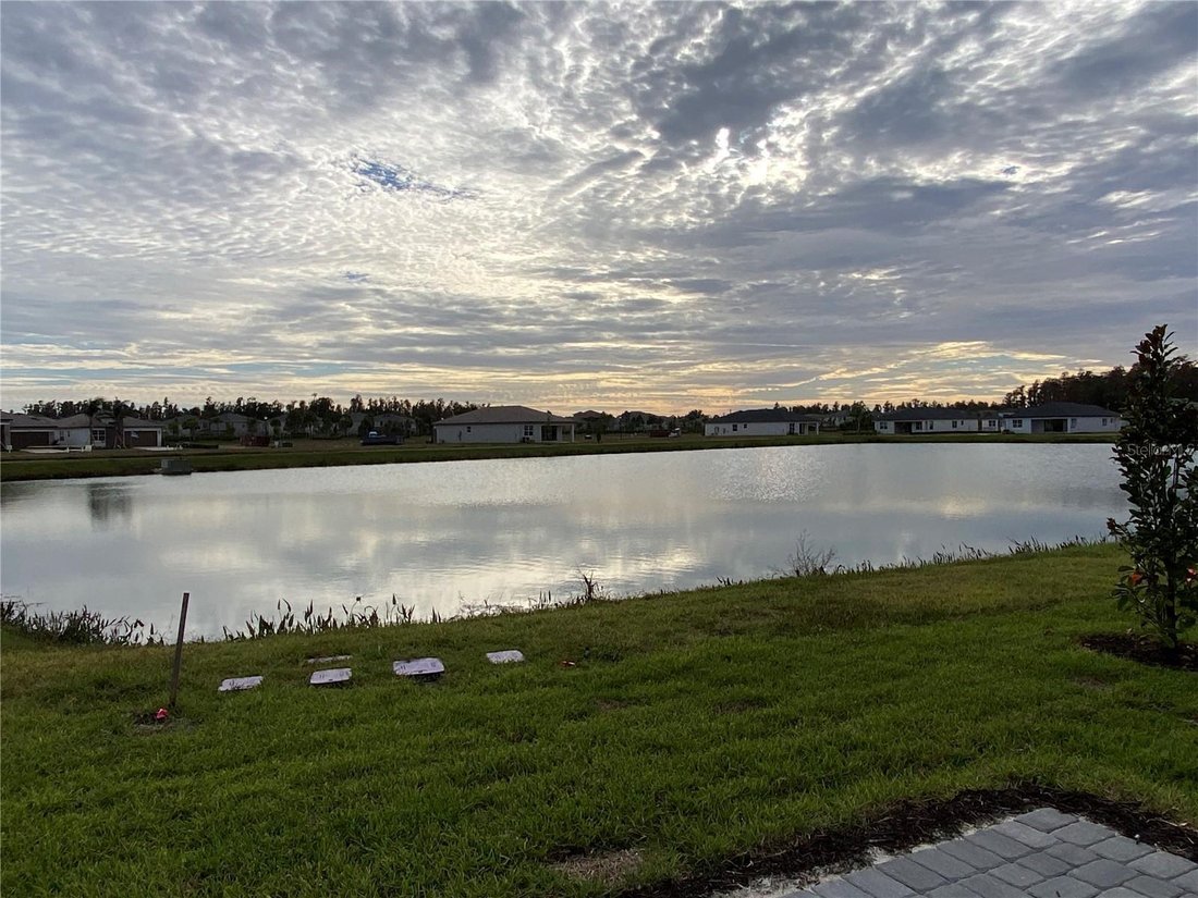 House in Zephyrhills, Florida, United States 5 - 17181224