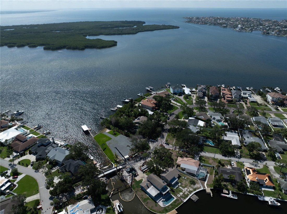 House in St. Petersburg, Florida, United States 3 - 17187322