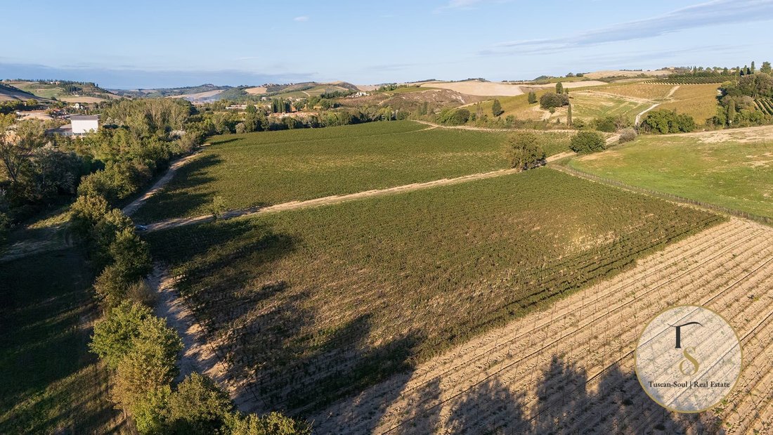 Farm Ranch in Montalcino, Tuscany, Italy 1 - 17188268