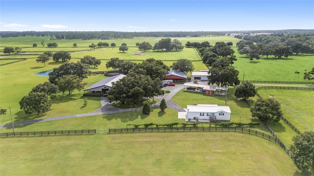 Farm Ranch in Morriston, Florida, United States 3 - 17182846