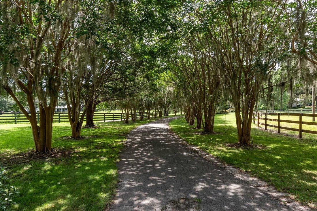 Land in Ocala, Florida, United States 5 - 17182749