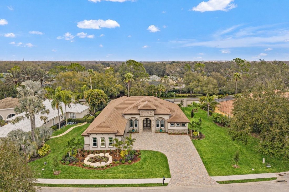 House in Trinity, Florida, United States 1 - 17182794