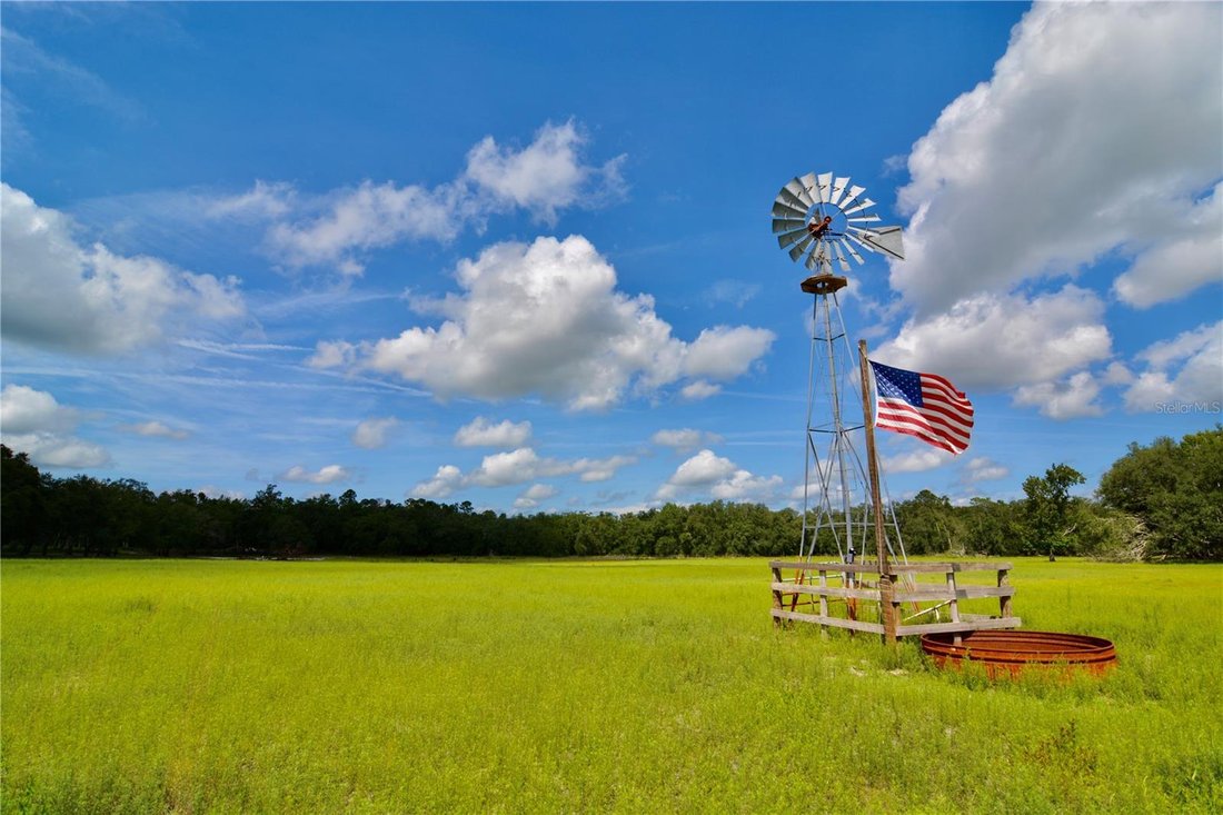 Farm Ranch in Lake City, Florida, United States 1 - 17185040