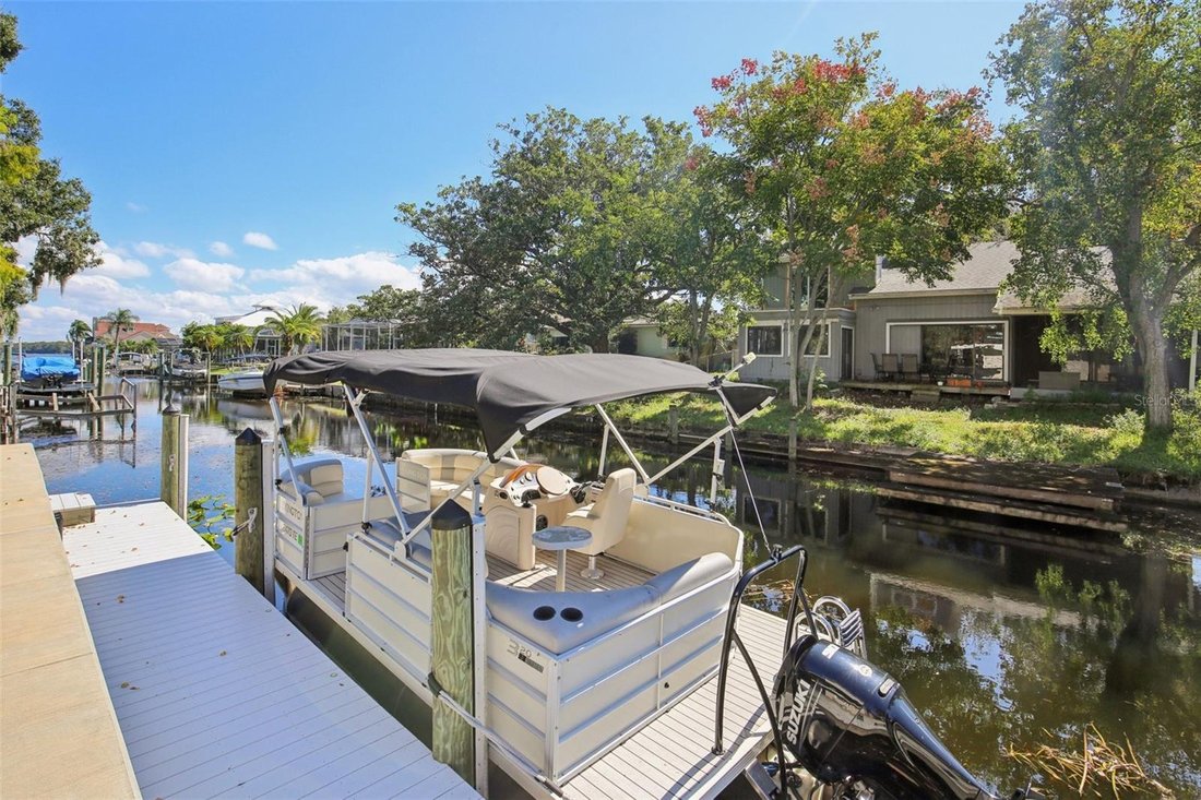 House in Palm Harbor, Florida, United States 2 - 17186434
