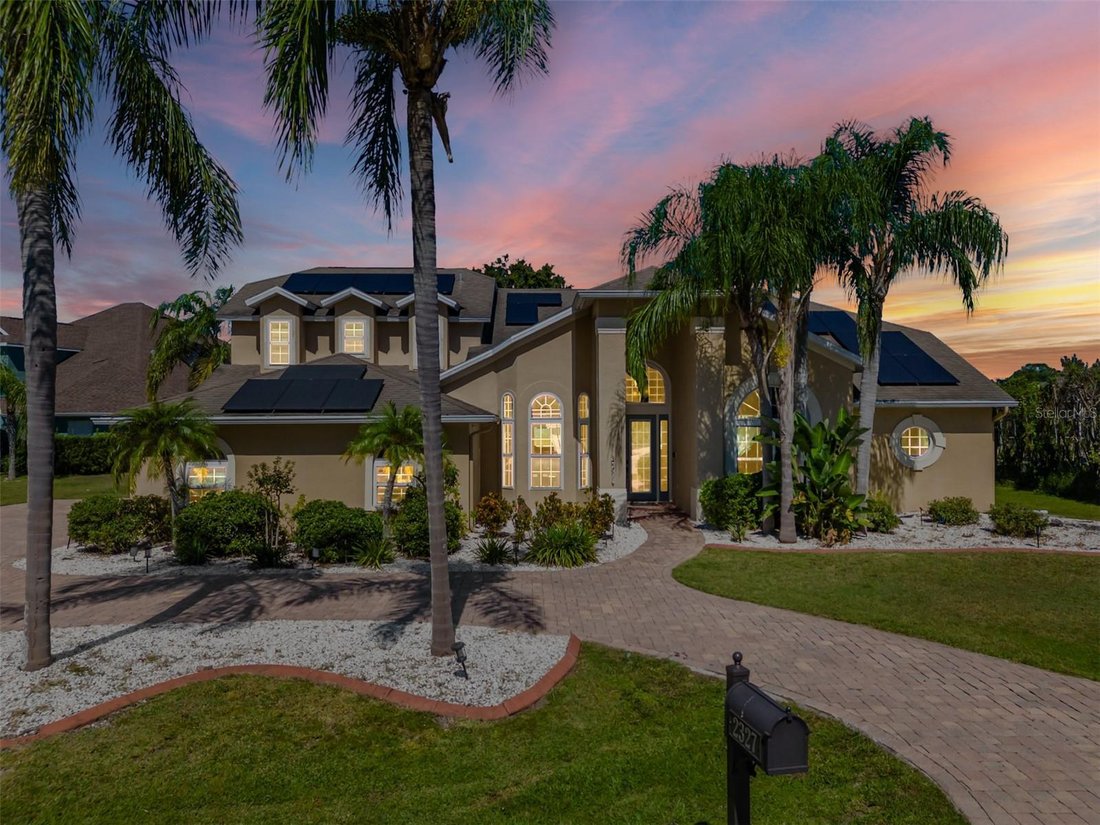 House in Land O' Lakes, Florida, United States 2 - 17181568