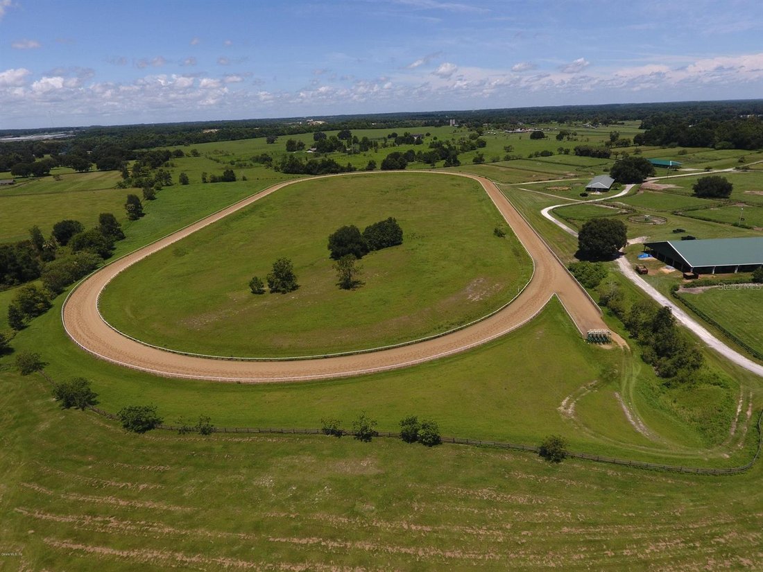 Land in Reddick, Florida, United States 2 - 17183163