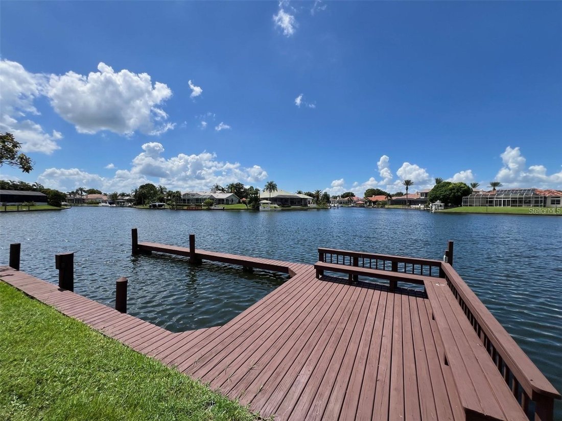 House in Tampa, Florida, United States 1 - 17183932