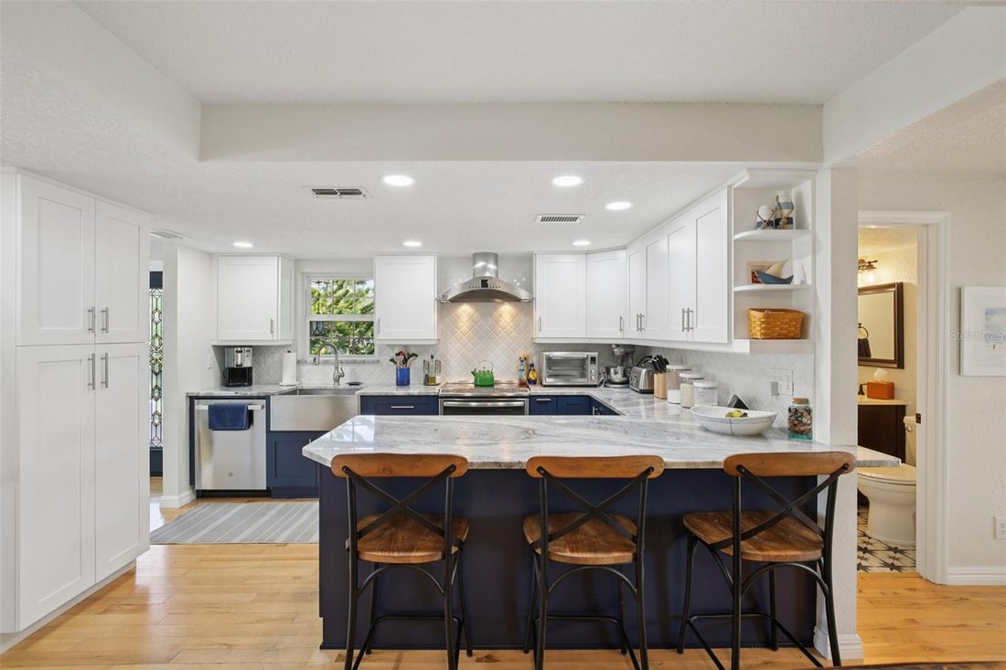 House in Palm Harbor, Florida, United States 4 - 17186434