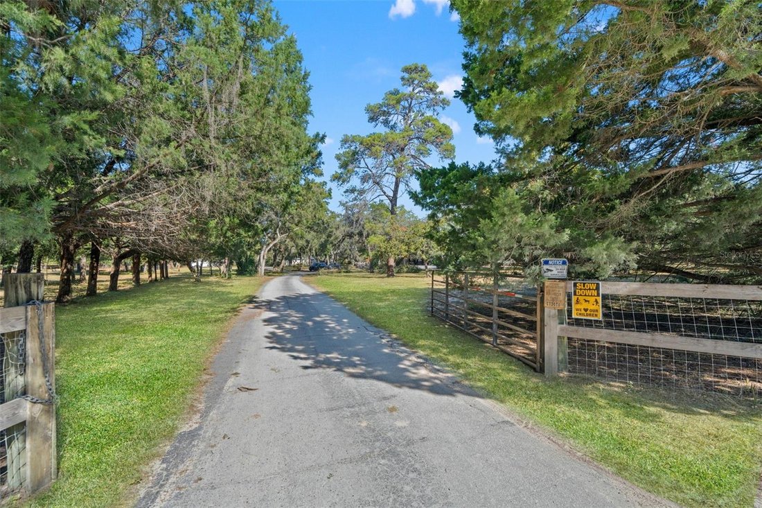 Farm Ranch in Hudson, Florida, United States 3 - 17187036