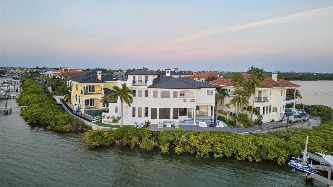 House in Tampa, Florida, United States 1 - 17183495