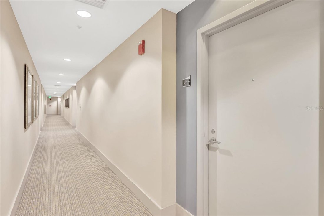Condo in St. Petersburg, Florida, United States 2 - 17184669