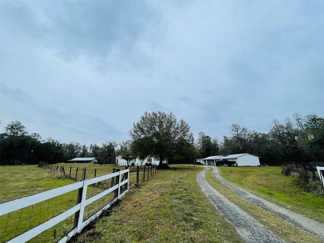 House in Wesley Chapel, Florida, United States 3 - 17187284