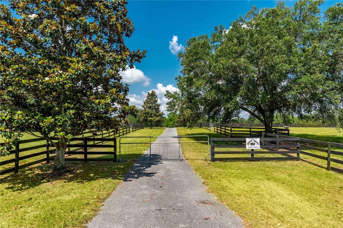 Farm Ranch in Morriston, Florida, United States 5 - 17182593