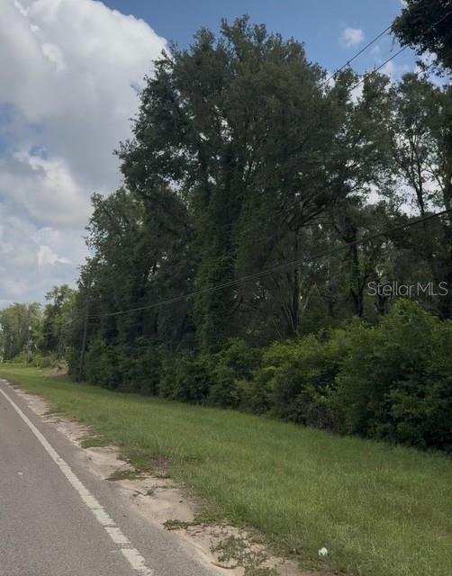 Farm Ranch in South Brooksville, Florida, United States 5 - 17185102