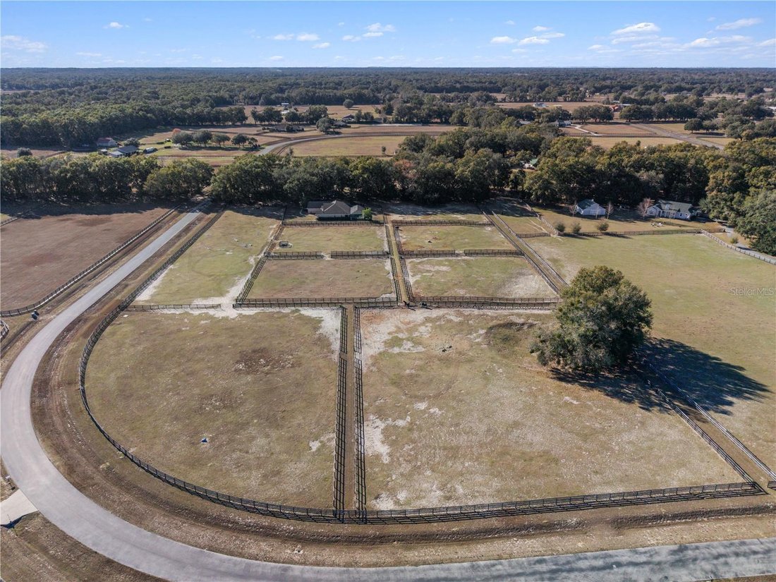 House in Reddick, Florida, United States 5 - 17184496