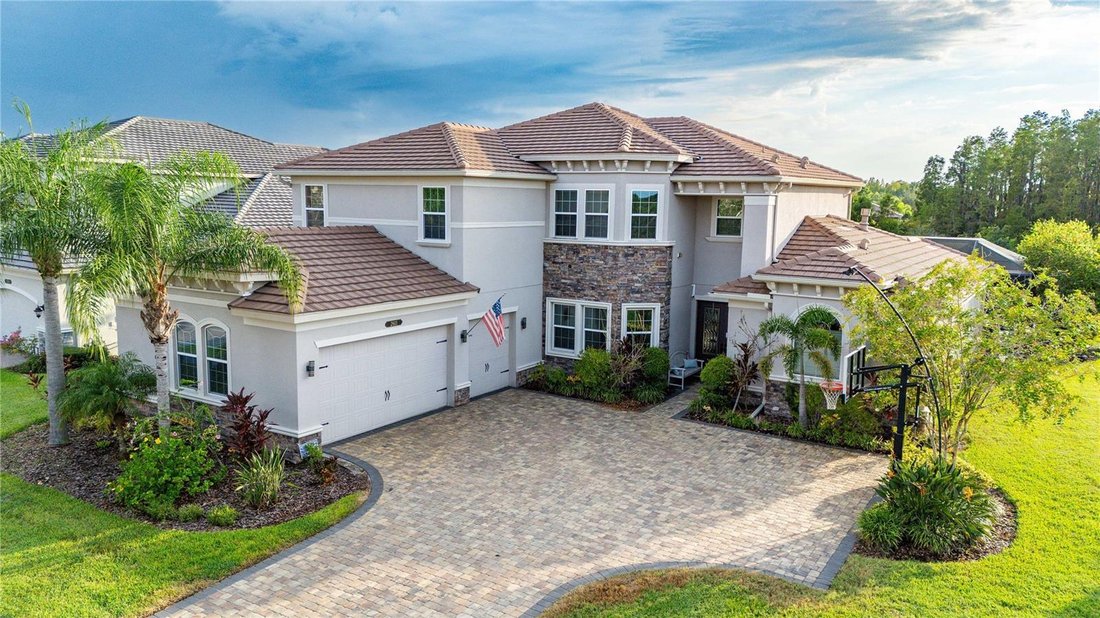 House in Zephyrhills, Florida, United States 1 - 17186918